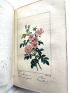 MALO : Histoire des roses - Erste Ausgabe - Edition-Originale.com