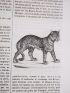 PIZZETTA : Dictionnaire populaire d'histoire naturelle - Edition-Originale.com