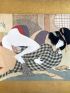 Schunga. 12 grandes peintures sur soie - Prima edizione - Edition-Originale.com