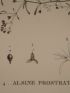 DESCRIPTION DE L'EGYPTE.  Botanique. Polycarpea fragilis, Polycarpea memphitica, Alsine succulenta, Alsine prostrata. (Histoire Naturelle, planche 24) - First edition - Edition-Originale.com