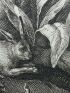 La chasse aux renards - Prima edizione - Edition-Originale.com