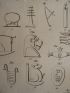 Voyage dans la Basse et Haute Egypte : Caractères hiéroglyphiques pris dans différens temples d'Egypte. (Planche 114).<br /> - Prima edizione - Edition-Originale.com