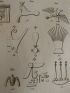 Voyage dans la Basse et Haute Egypte : Caractères hiéroglyphiques pris dans différens temples d'Egypte. (Planche 114).<br /> - Edition Originale - Edition-Originale.com