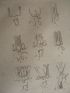 Voyage dans la Basse et Haute Egypte : Coiffures hiéroglyphiques. Vases dessinés d'après des bas-reliefs égyptiens. (Planche 115).<br /> - Prima edizione - Edition-Originale.com