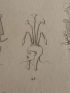 Voyage dans la Basse et Haute Egypte : Coiffures hiéroglyphiques. Vases dessinés d'après des bas-reliefs égyptiens. (Planche 115).<br /> - Edition Originale - Edition-Originale.com