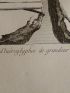 Voyage dans la Basse et Haute Egypte : Fragmens d'hiéroglyphes de grandeur naturelle. (Planche 113).<br /> - Prima edizione - Edition-Originale.com