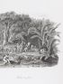 WIED-NEUWIED : Navigation par dessus les rochers d'Ilheós / Halte au forêt - Voyage au Brésil, Dans les années 1815, 1816 et 1817, par S. A. S. Maximilien, Prince de Wied-Neuwied.  - Edition Originale - Edition-Originale.com