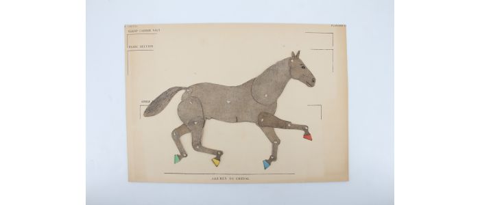 ALIX : Le cheval - Complet du Texte et de l'Atlas - Prima edizione - Edition-Originale.com