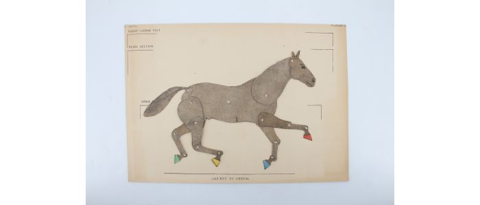 ALIX : Le cheval - Complet du Texte et de l'Atlas - First edition - Edition-Originale.com