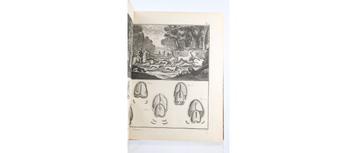 ANONYME : Encyclopédie méthodique. Dictionnaire de toutes les espèces de chasses - Edition-Originale.com