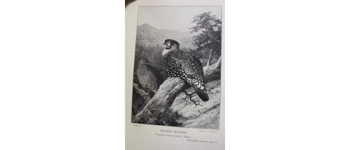 BEEBE : Pheasants : their lives and their homes - Erste Ausgabe - Edition-Originale.com