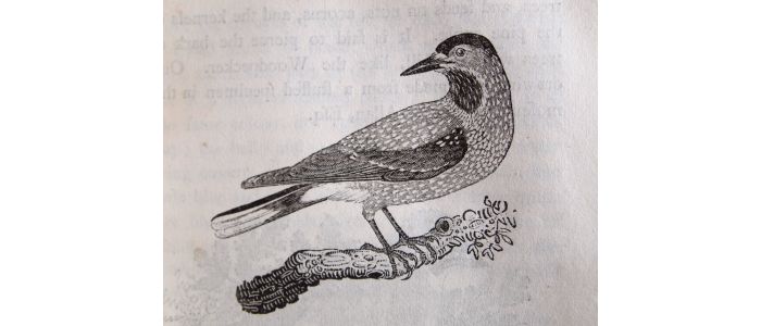 BEWICK : History of British birds - Edition Originale - Edition-Originale.com