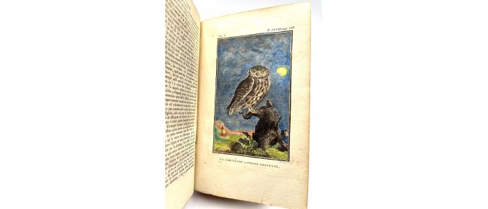 BUFFON : Histoire naturelle des oiseaux  - Edition-Originale.com