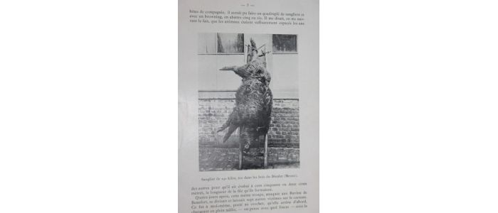 COLLECTIF : Revue cynégétique et canine de l'est. Année 1912 complète - Edition Originale - Edition-Originale.com