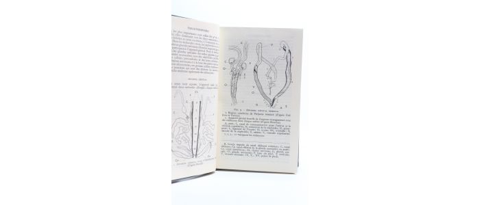 COLLECTIF : Zoologie Tome II - First edition - Edition-Originale.com
