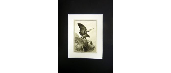 La Fontaine, fables, L'aigle et le hibou. Eau forte originale sur papier Vergé - Prima edizione - Edition-Originale.com