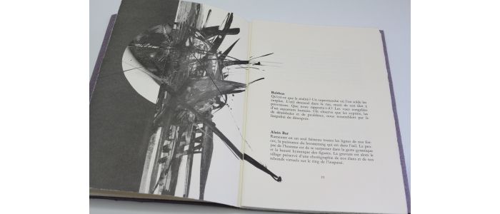 DOBZYNSKI : Lavoir de toutes les couleurs - First edition - Edition-Originale.com