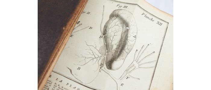 DU VERNEY : Traité de l'organe de l'ouie, contenant la structure, les usages & les maladies de toutes les parties de l'oreille - Edition Originale - Edition-Originale.com
