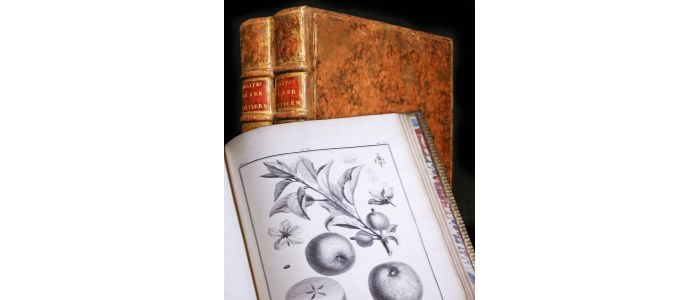 DUHAMEL DU MONCEAU : Traité des arbres fruitiers ; contenant leur figure, leur description, leur culture.  - Erste Ausgabe - Edition-Originale.com