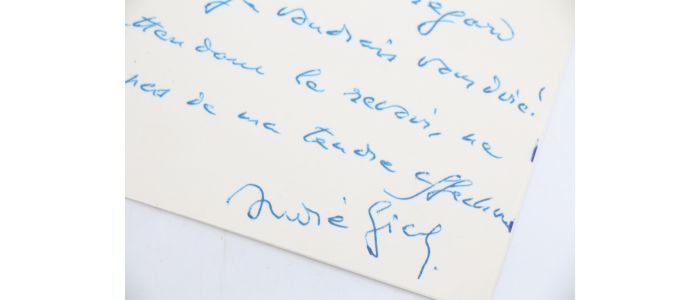 GIDE : Lettre autographe adressée à Pierre de Massot concernant la mort de leur ami commun André Suarès : 