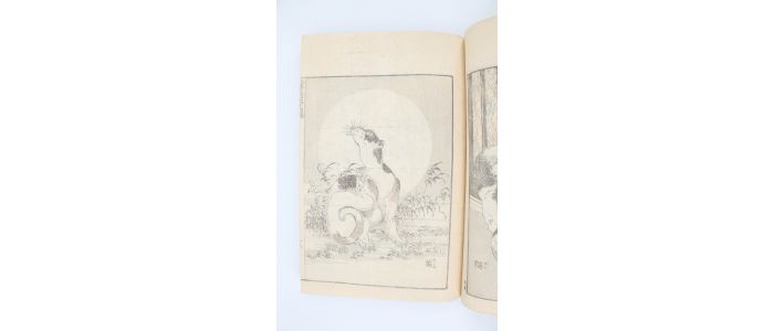 HOKUSAI : Hokusai manga. Volume 14 - Prima edizione - Edition-Originale.com