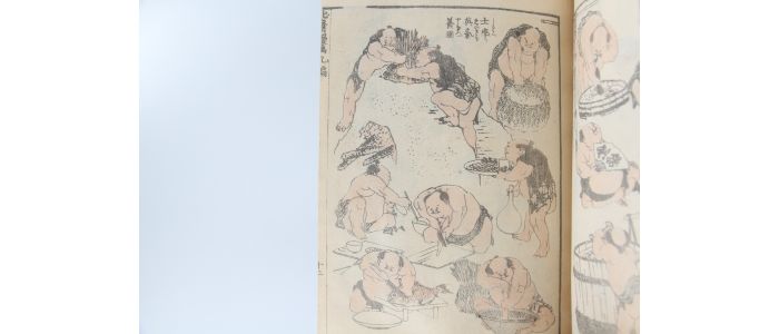 HOKUSAI : Hokusai Manga. Volume 9 - First edition - Edition-Originale.com