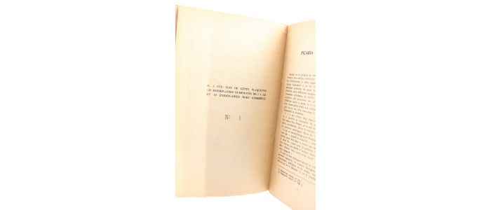 ISARLOV : Picabia peintre - Prima edizione - Edition-Originale.com