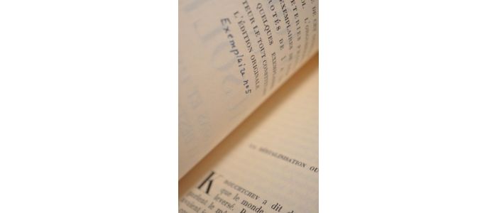 IZARD : Viol d'un mausolée, le sens et l'avenir de la déstabilisation - Prima edizione - Edition-Originale.com