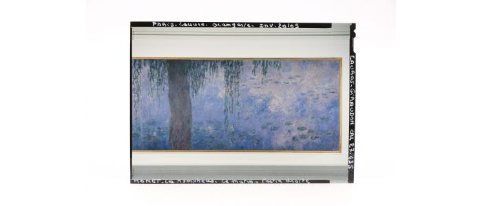 MONET : Les Nymphéas, 25 photographies sous forme de films-contacts transparents en couleur  - Prima edizione - Edition-Originale.com