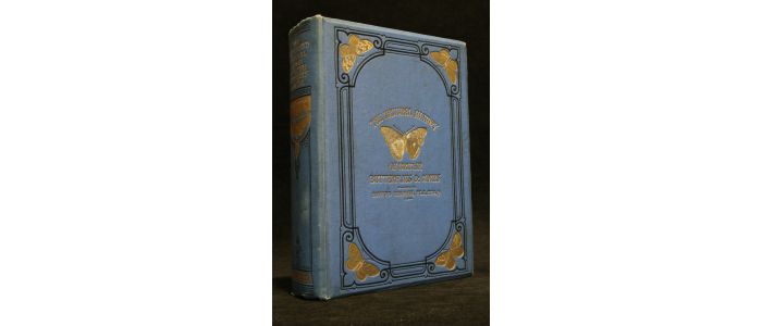 NEWMAN : An illustrated natural history of british butterflies and moths - Edition-Originale.com