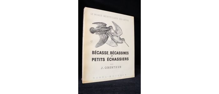 OBERTHUR : Bécasses, bécassines et petits échassiers - First edition - Edition-Originale.com