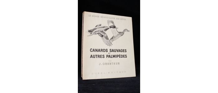 OBERTHUR : Canards sauvages et autres palmipèdes - Prima edizione - Edition-Originale.com