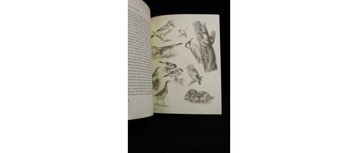 OBERTHUR : Chasses et pêches, souvenirs et croquis - Erste Ausgabe - Edition-Originale.com