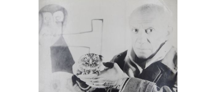 PICASSO : Photographie originale de Pablo Picasso tenant une chouette dans son atelier du Château Grimaldi à Antibes - Prima edizione - Edition-Originale.com