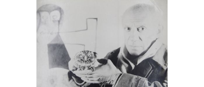 PICASSO : Photographie originale de Pablo Picasso tenant une chouette dans son atelier du Château Grimaldi à Antibes - Erste Ausgabe - Edition-Originale.com