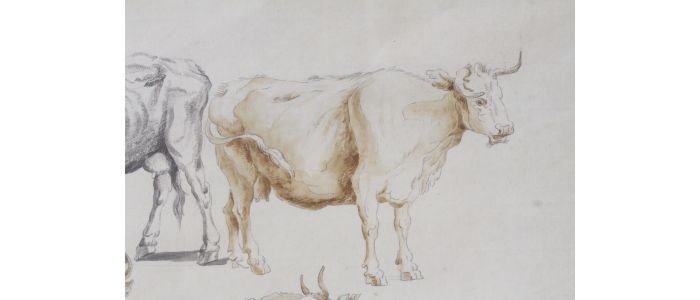SADE : Étude de vaches - Signiert, Erste Ausgabe - Edition-Originale.com