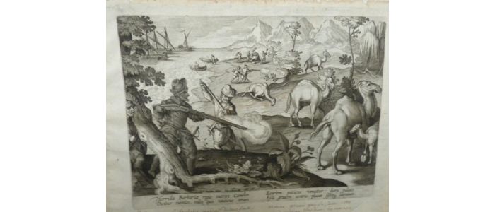 La chasse aux chameaux - First edition - Edition-Originale.com