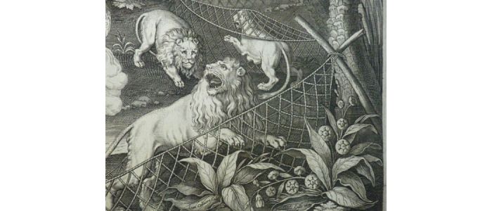 La chasse aux lions par le feu - First edition - Edition-Originale.com