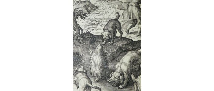 La chasse aux porcs-épics - Prima edizione - Edition-Originale.com