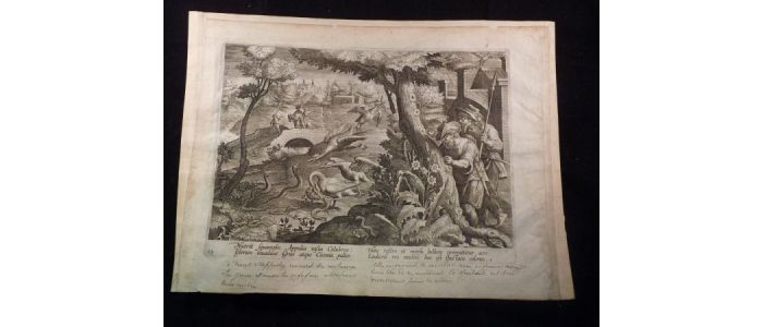 Le combat des oiseaux et des couleuvres - Edition Originale - Edition-Originale.com