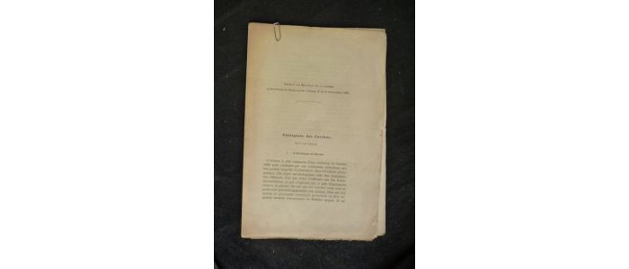 VACHER DE LAPOUGE : Phylogénie des carabus : I - L'archétype du carabe - Edition Originale - Edition-Originale.com