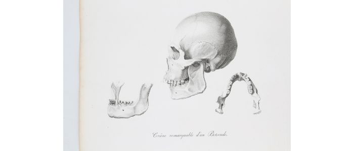 WIED-NEUWIED : Crâne remarquable d'un Botocude / Les Indiens en route - Voyage au Brésil, Dans les années 1815, 1816 et 1817, par S. A. S. Maximilien, Prince de Wied-Neuwied.  - Prima edizione - Edition-Originale.com