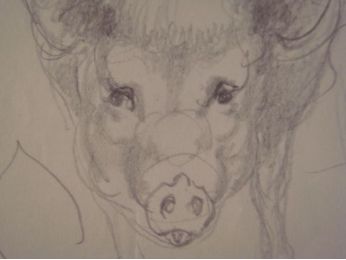Cochon : Étude 2 - Crayon sur papier - Signiert, Erste Ausgabe - Edition-Originale.com