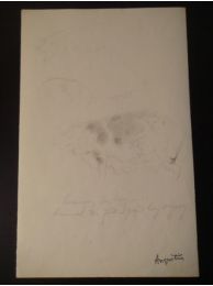 Cochon : Étude 5 - Crayon sur papier - Signed book, First edition - Edition-Originale.com
