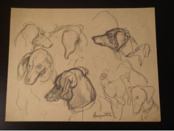 Etude de têtes de chiens.  - Crayon sur papier - Autographe, Edition Originale - Edition-Originale.com