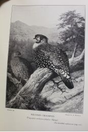 BEEBE : Pheasants : their lives and their homes - Erste Ausgabe - Edition-Originale.com