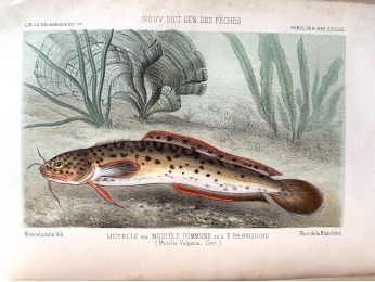 BLANCHERE : La pêche et les poissons. Nouveau Dictionnaire général des pêches - Prima edizione - Edition-Originale.com