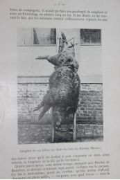 COLLECTIF : Revue cynégétique et canine de l'est. Année 1912 complète - Prima edizione - Edition-Originale.com