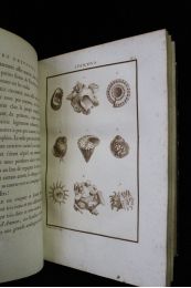 CUBIERES : Histoire abrégée des coquillages de mer, de leurs moeurs, et de leurs amours - First edition - Edition-Originale.com