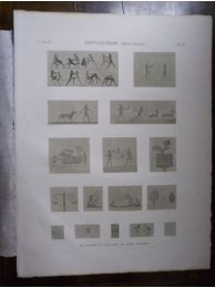 DESCRIPTION DE L'EGYPTE.  Heptanomide. BENIY-HASAN. Bas-reliefs et peintures de divers hypogées. (ANTIQUITES, volume IV, planche 66) - Erste Ausgabe - Edition-Originale.com